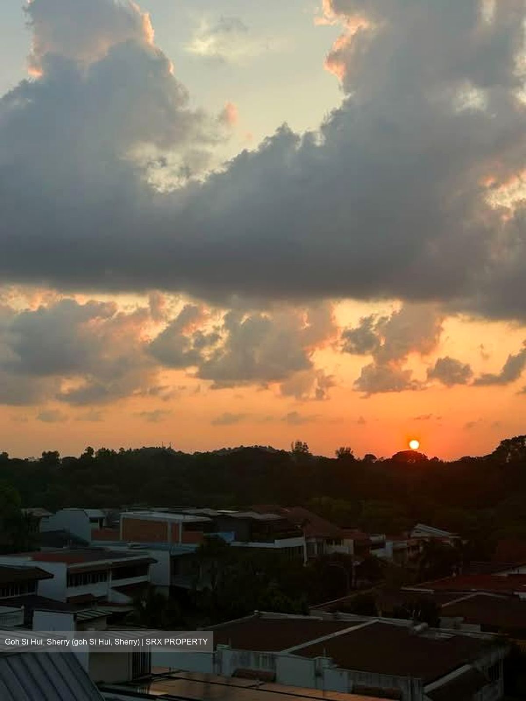 The Gardens At Bishan (D20), Condominium #569223611